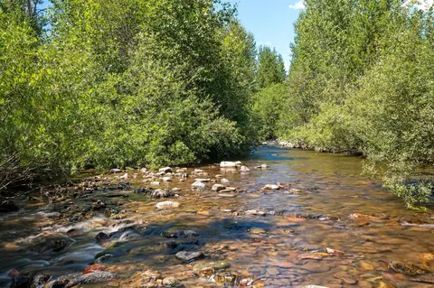 11680 N Fork Rd, Polebridge, MT 59928 photo 5