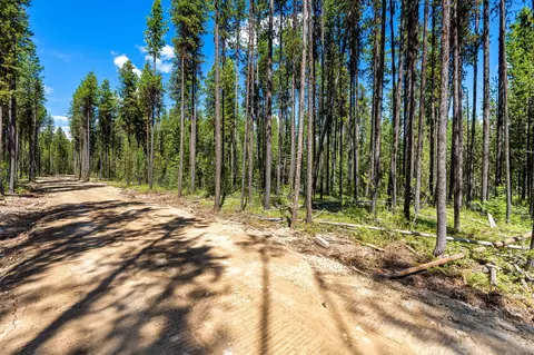 11680 N Fork Rd, Polebridge, MT 59928 photo 14