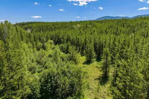 11680 N Fork Rd, Polebridge, MT 59928 photo 31
