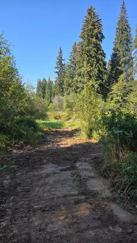 tbd Lakota Loop, Troy, MT 59935 photo 26