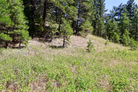 lot49 Cooper Valley Ests, Cascade, MT 59421 photo 6