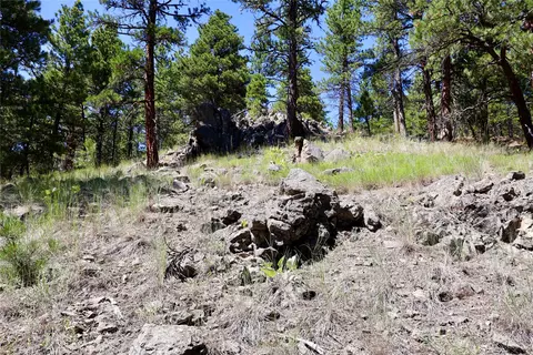 lot49 Cooper Valley Ests, Cascade, MT 59421 photo 14