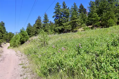 lot49 Cooper Valley Ests, Cascade, MT 59421 photo 21