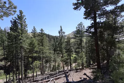 lot49 Cooper Valley Ests, Cascade, MT 59421 photo 15