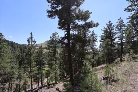 lot49 Cooper Valley Ests, Cascade, MT 59421 photo 16