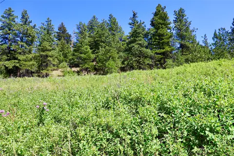 lot49 Cooper Valley Ests, Cascade, MT 59421 photo 20