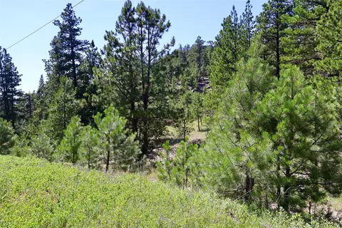 lot49 Cooper Valley Ests, Cascade, MT 59421 photo 9