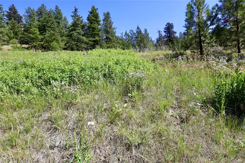lot49 Cooper Valley Ests, Cascade, MT 59421 photo 18