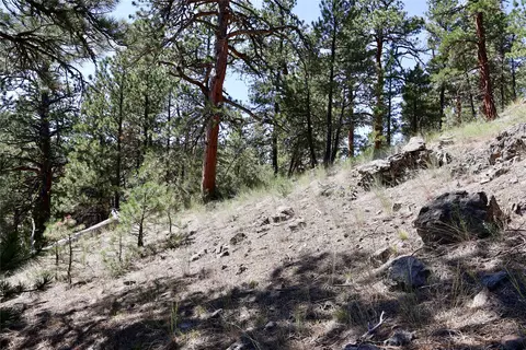 lot49 Cooper Valley Ests, Cascade, MT 59421 photo 12