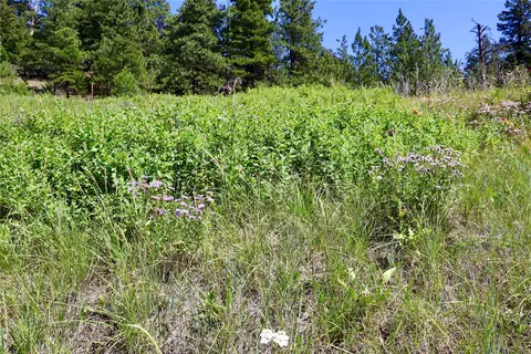 lot49 Cooper Valley Ests, Cascade, MT 59421 photo 19