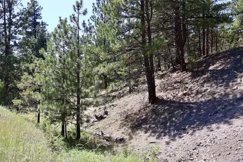 lot49 Cooper Valley Ests, Cascade, MT 59421 photo 2