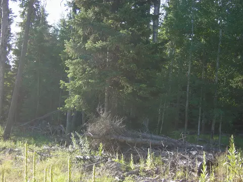 Nhn Acm Road S, Libby, MT 59923