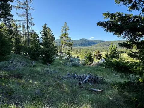 Nhn Sunchild Lane, Anaconda, MT 59711