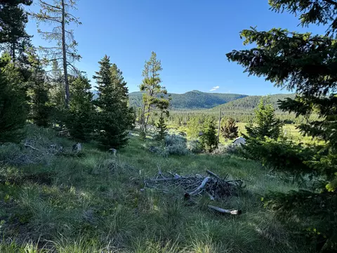 Nhn Sunchild Lane, Anaconda, MT 59711