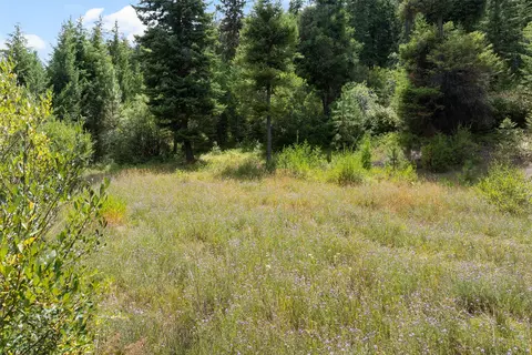 1925 Castle View Dr, Victor, MT 59875 photo 3