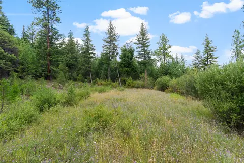 1925 Castle View Dr, Victor, MT 59875 photo 9