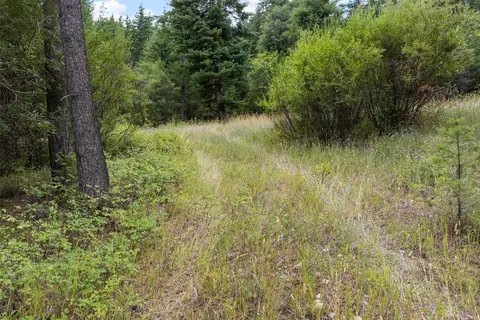 1925 Castle View Dr, Victor, MT 59875 photo 5