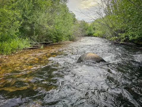 Undisclosed, Anaconda, MT 59711