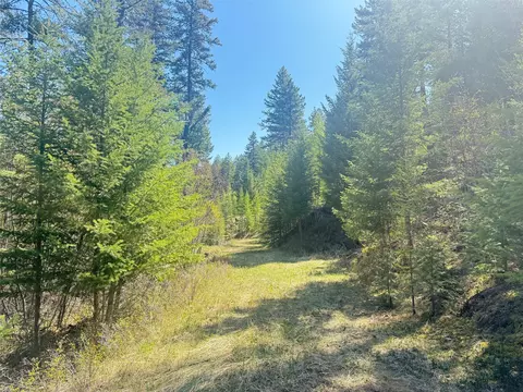 Nhn Whitetail Ridge Road, Kila, MT 59920
