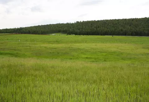 5765 W Kootenai Rd, Rexford, MT 59930