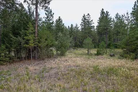 Exterior - 53 Mccracken Trl, Eureka, MT 59917 photo 16 of 16