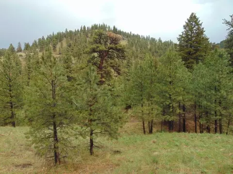 15 Shady Spring Ln, Cascade, MT 59421