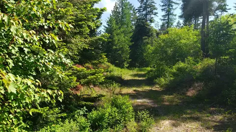 500 Blacktail Heights Rd, Lakeside, MT 59922