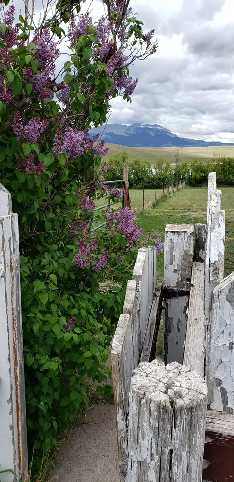 3876 W Bitterroot Ln, Augusta, MT 59410 photo 31
