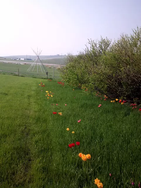 3876 W Bitterroot Ln, Augusta, MT 59410 photo 41
