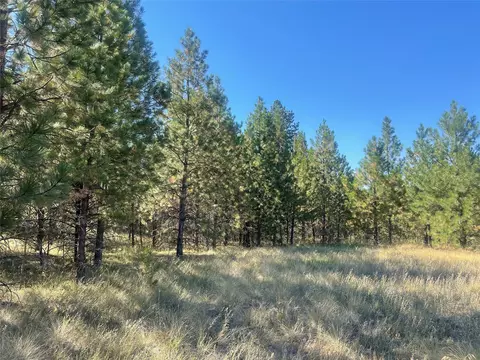 lot55 Jette Meadow Rd, Polson, MT 59860