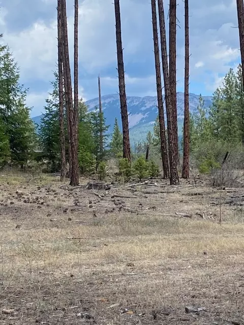 Nhn High Country Road, Plains, MT 59859