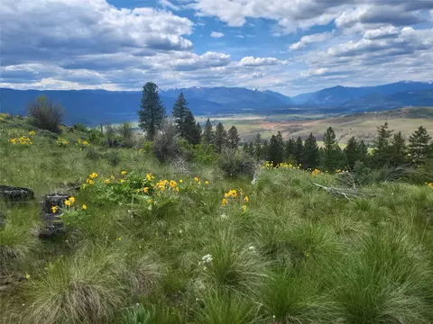 lot5 Yosyrian Ln, Plains, MT 59859