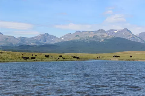 Nhn Us Hwy 2, East Glacier Park Village, MT 59434