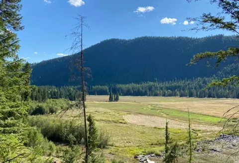 2398 Pine Creek Rd, Yaak, MT 59935
