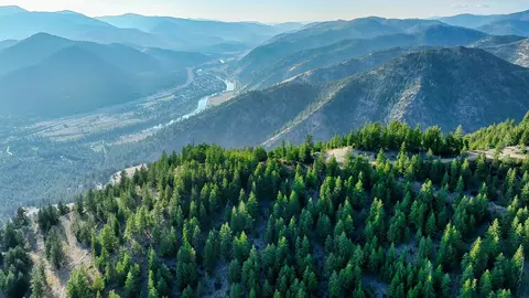 Nhn Johnson Creek Road, Superior, MT 59872