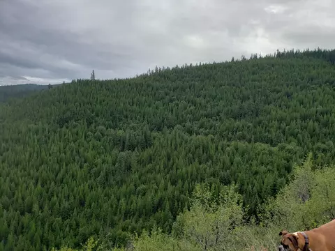 lot16 Nine Mile Rd, Huson, MT 59846