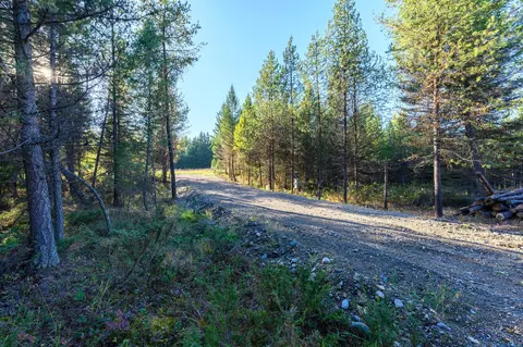 209 Turtle Trl, Eureka, MT 59917 photo 20