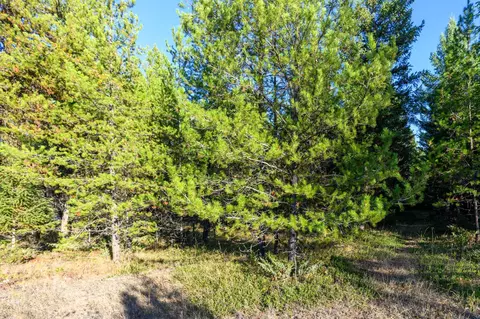 209 Turtle Trl, Eureka, MT 59917 photo 17