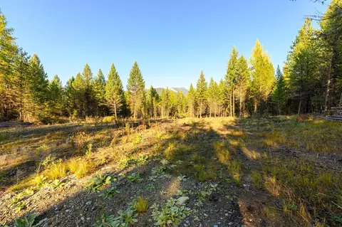 209 Turtle Trl, Eureka, MT 59917 photo 18