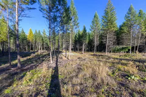 209 Turtle Trl, Eureka, MT 59917 photo 26