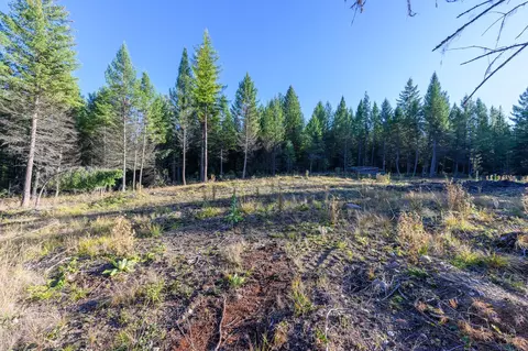 209 Turtle Trl, Eureka, MT 59917 photo 25