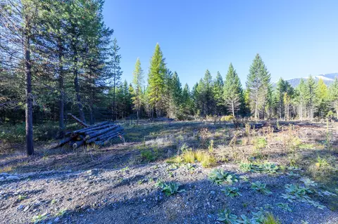 209 Turtle Trl, Eureka, MT 59917 photo 19