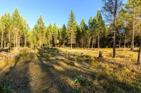 209 Turtle Trl, Eureka, MT 59917 photo 28