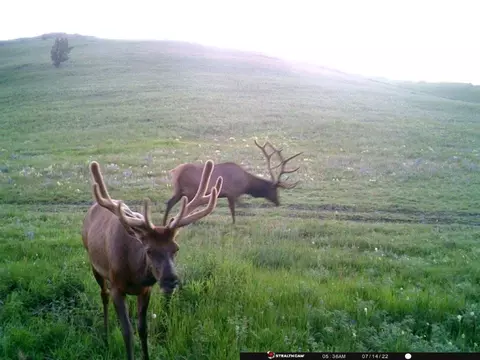 tbd Indian Creek Rd, Townsend, MT 59644