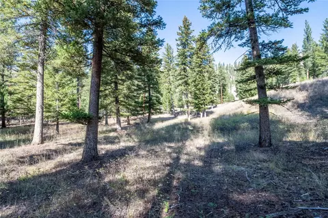 lot17 Caddisfly Ct, Clinton, MT 59825