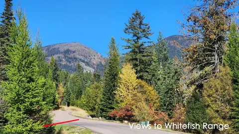 254 S Beargrass Cir, Whitefish, MT 59937