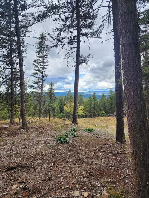 408 Montana View Dr, Seeley Lake, MT 59868