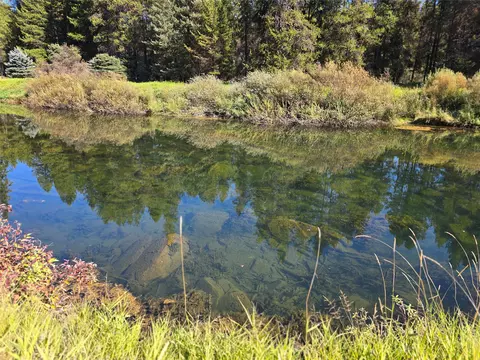 View/Area - 338 River View Dr, Yaak, MT 59935 photo 2 of 8