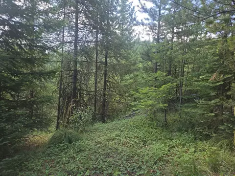 lot22 Nine Mile Rd, Huson, MT 59846