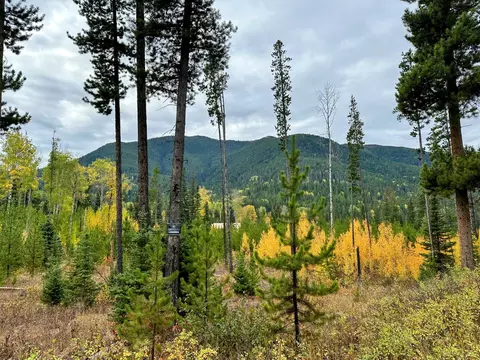 Nhn Giefer Creek Road, Essex, MT 59916